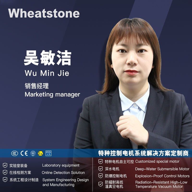 吴敏洁 销售经理